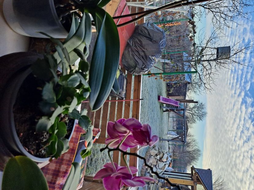  - FFORILE DE LA BAICOI 2023 - 2024 --------