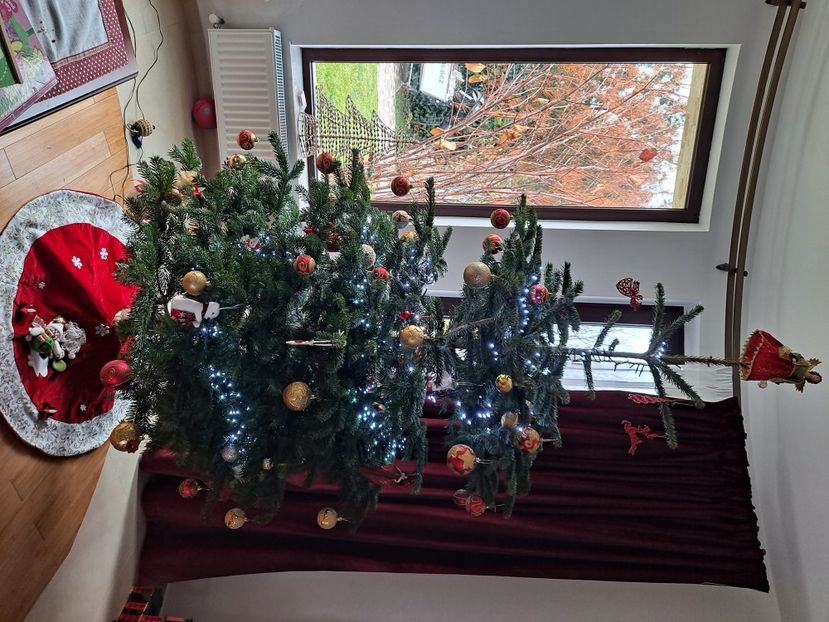  - FFORILE DE LA BAICOI 2023 - 2024 --------