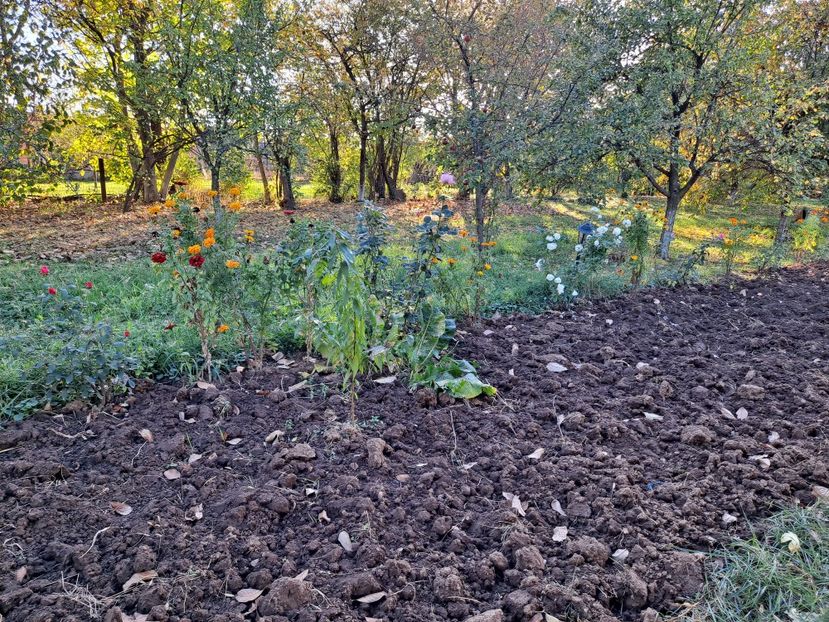  - FFORILE DE LA BAICOI 2023 - 2024 --------