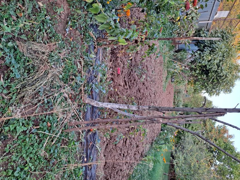  - FFORILE DE LA BAICOI 2023 - 2024 --------