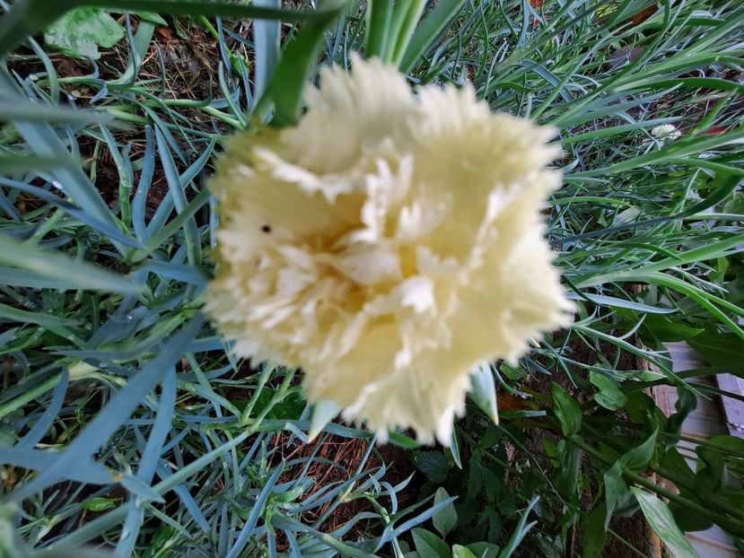  - FFORILE DE LA BAICOI 2023 - 2024 --------