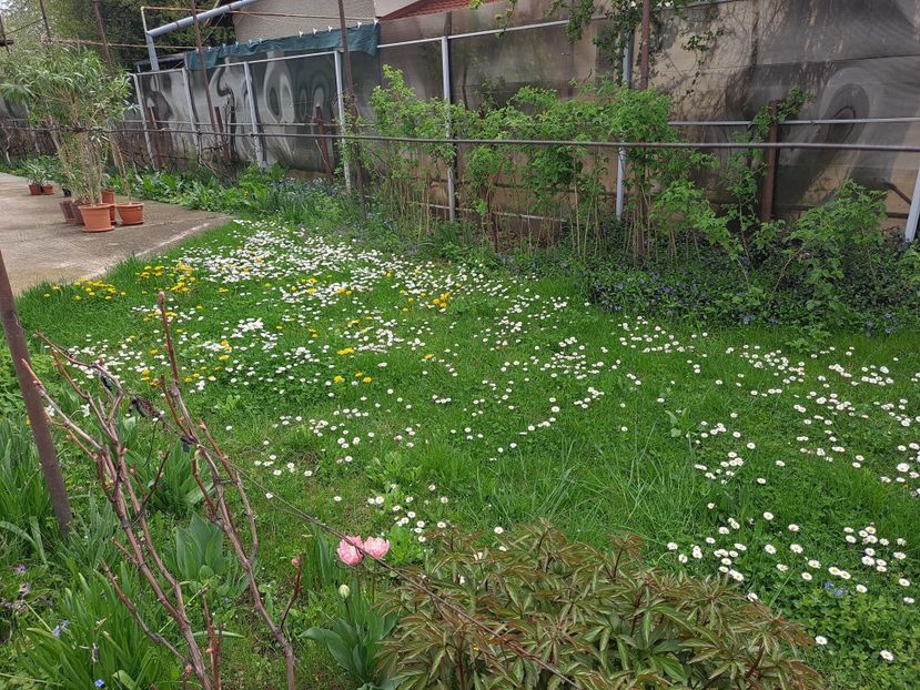  - FFORILE DE LA BAICOI 2023 - 2024 --------