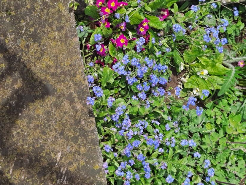  - FFORILE DE LA BAICOI 2023 - 2024 --------