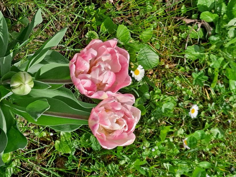  - FFORILE DE LA BAICOI 2023 - 2024 --------