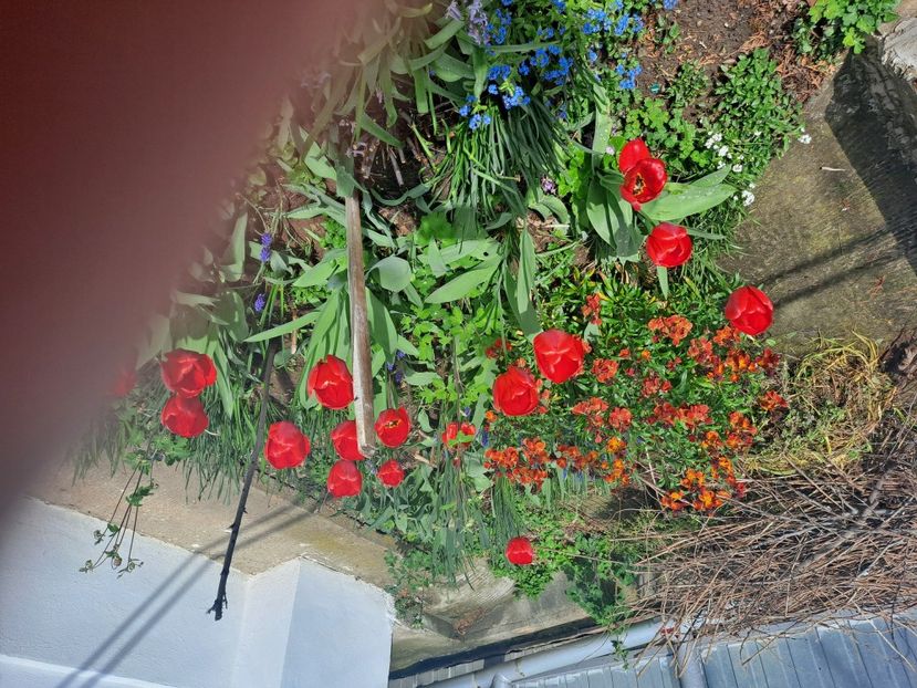  - FFORILE DE LA BAICOI 2023 - 2024 --------