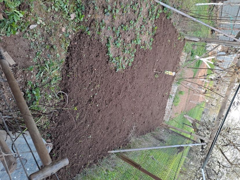  - FFORILE DE LA BAICOI 2023 - 2024 --------