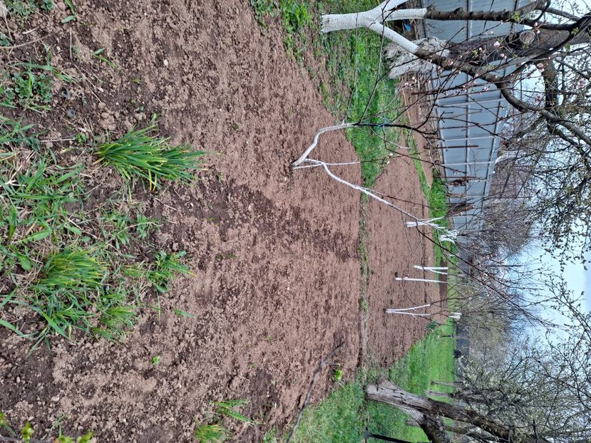  - FFORILE DE LA BAICOI 2023 - 2024 --------