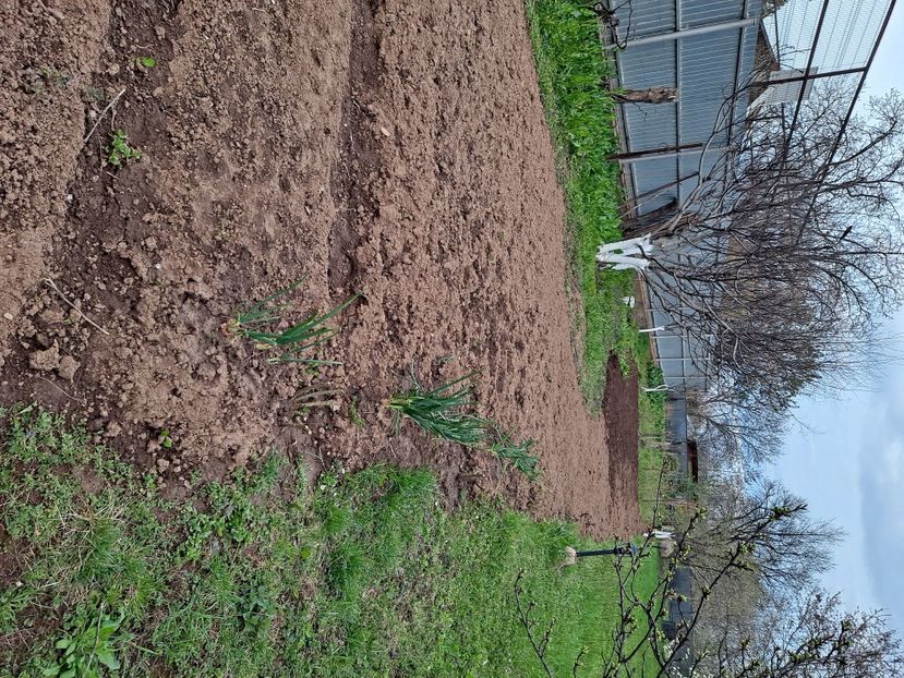  - FFORILE DE LA BAICOI 2023 - 2024 --------