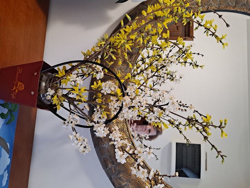  - FFORILE DE LA BAICOI 2023 - 2024 --------