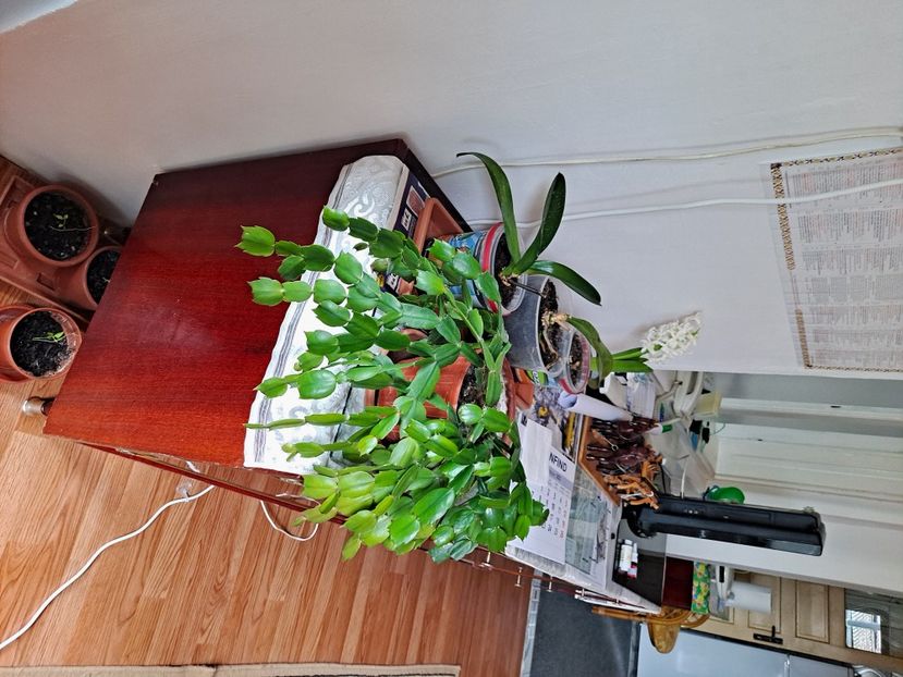  - FFORILE DE LA BAICOI 2023 - 2024 --------