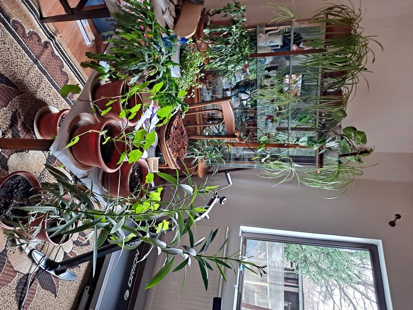  - FFORILE DE LA BAICOI 2023 - 2024 --------