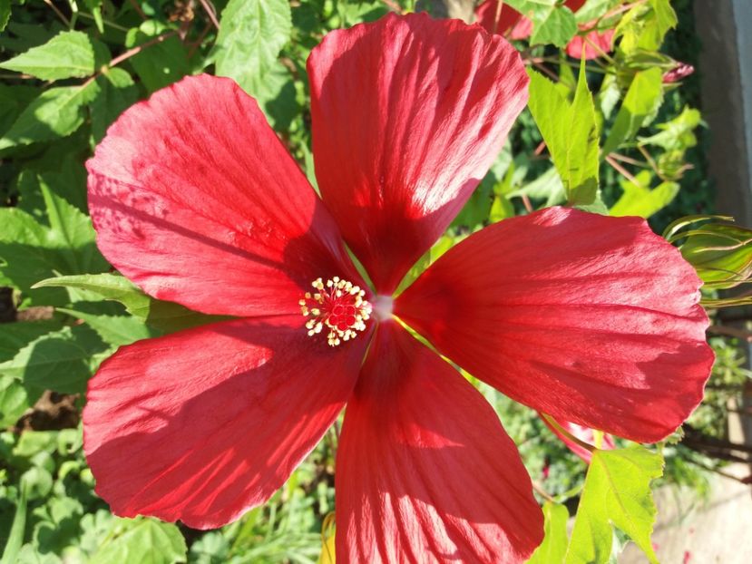  - FFORILE DE LA BAICOI 2023 - 2024 --------