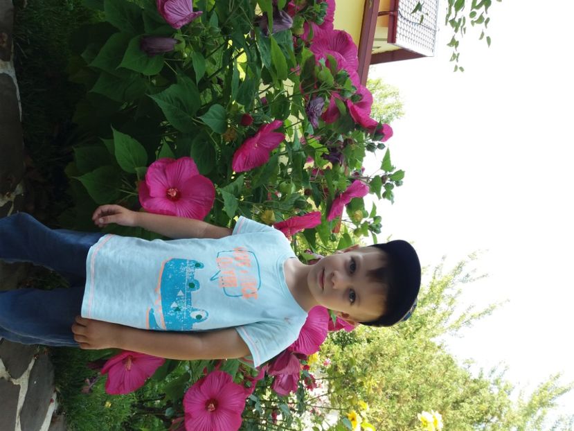  - A FLORILE LUI MATEUTU ----------------