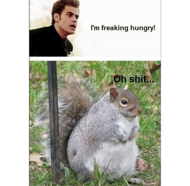 =))))))))))))))) - random fantasyworld posts