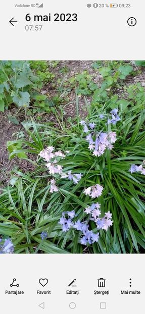 Screenshot_20240219_092354_com.android.gallery3d - Februarie 2024