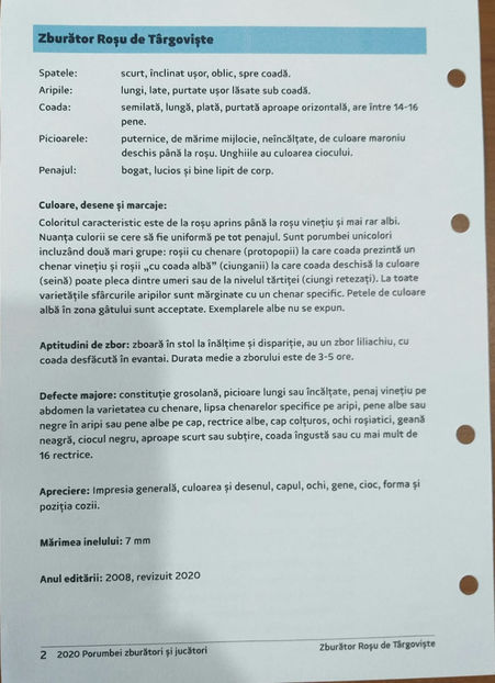 IMG-20211012-WA0002 - Standard - Zburator Roșu de Târgoviște