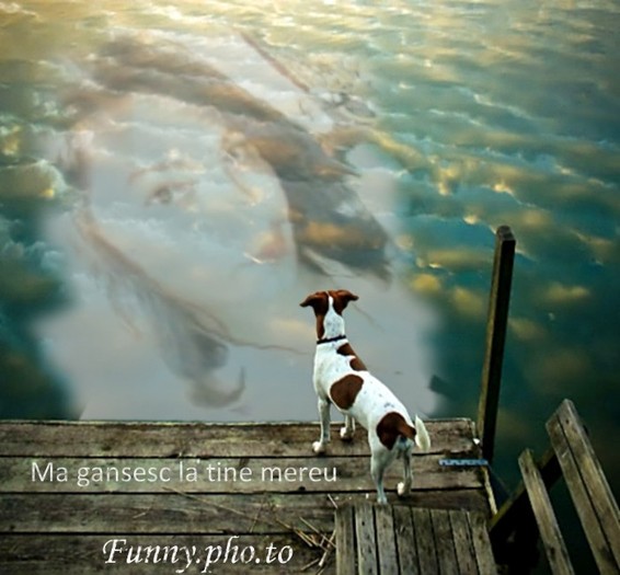 ma gandesc la tn mereu - doar eo