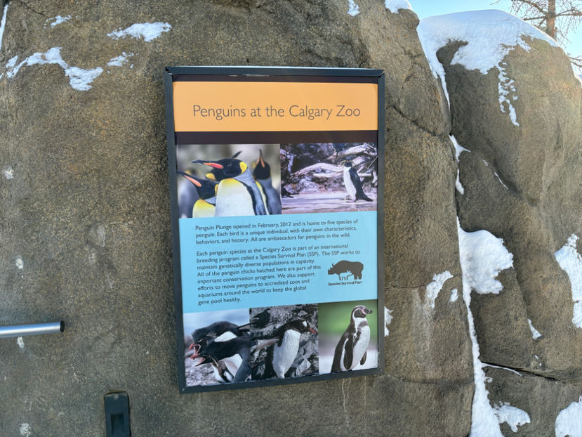  - Calgary Zoo 2024
