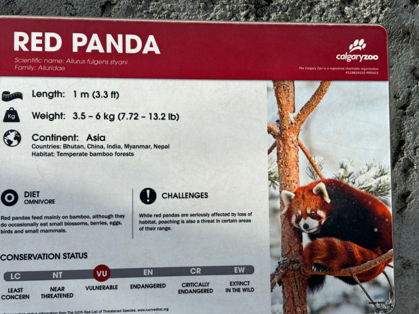 - Calgary Zoo 2024