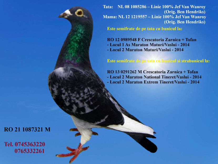 RO 21 1087321 M REZERVAT GIURGIU - ARHIVA