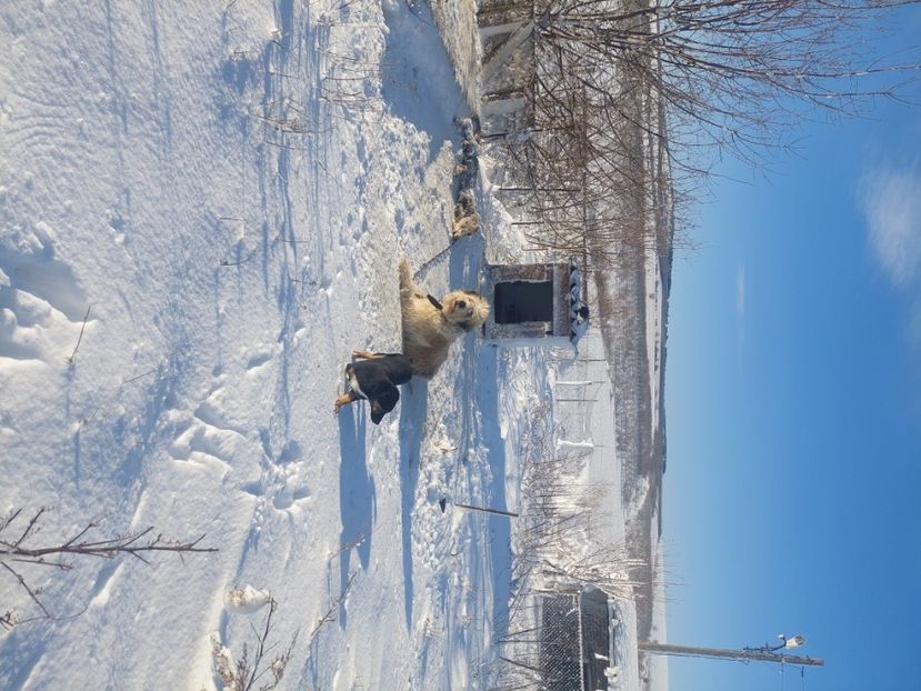 20231127_092214(0) - Iarna 2023-2024