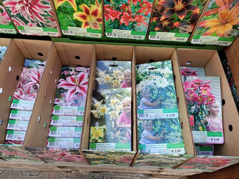 Img.2024.02.24 - Magazinul 3