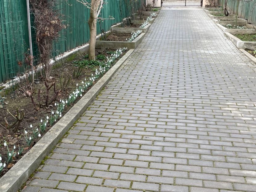  - 002 Grădina 2024 1