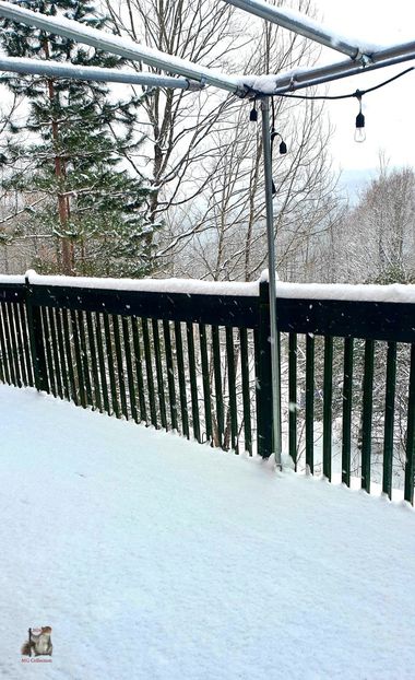 WINTER in Canada 1 - CANADIAN WINTER - Iarna Canadiana