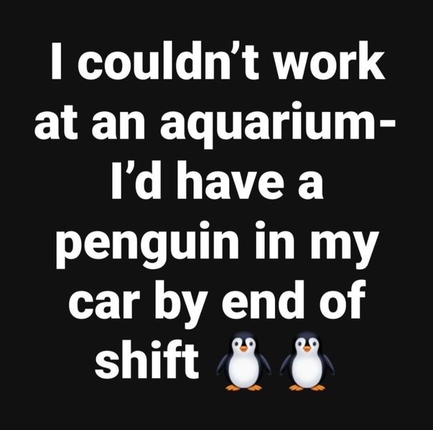  - Collection of Tintypes