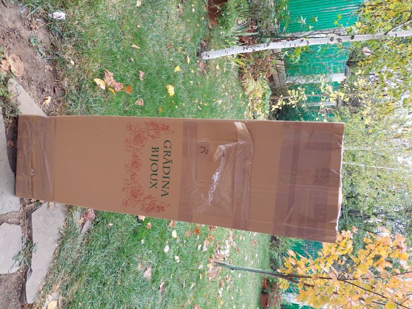 Comanda oct 2023 - aaa Comanda plante 2022 2023 2024