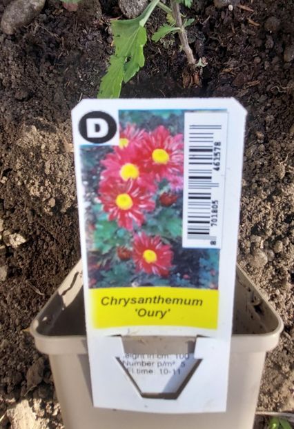  - aaa Comanda plante 2022 2023 2024