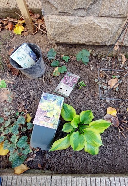  - aaa Comanda plante 2022 2023 2024