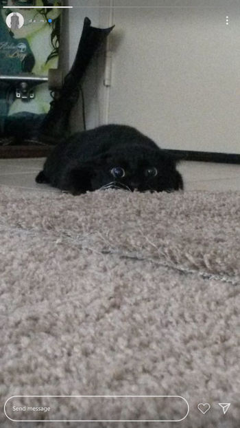 ⊱ ᵖᵒˢᵗᵉᵈ ᵇʸ ↳ ᴋɪᴍ ᴅᴀᴍɪ ⊰ - x keep us updated ll story