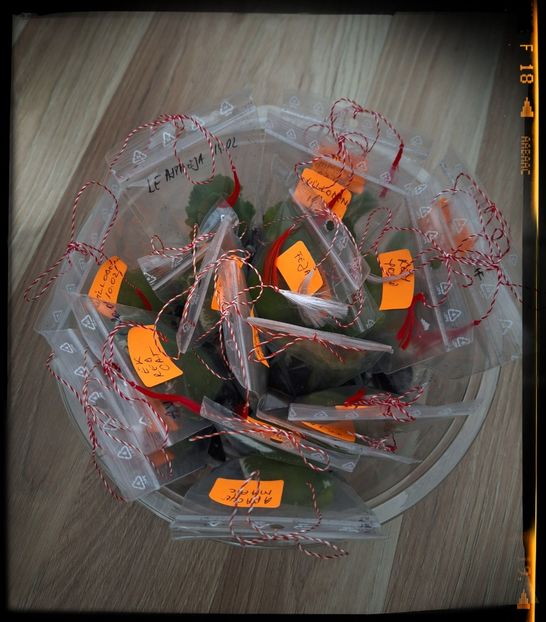 La multi ani ! - AA grup violete