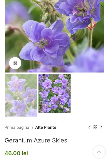 Screenshot_20240229_220423 - aaa Comanda plante 2022 2023 2024