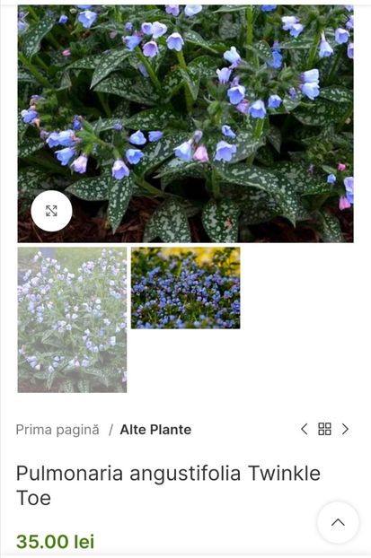 Screenshot_20240229_220213 - aaa Comanda plante 2022 2023 2024