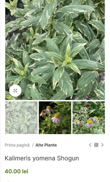 Screenshot_20240229_215922 - aaa Comanda plante 2022 2023 2024