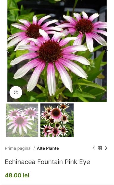 Screenshot_20240229_215910 - aaa Comanda plante 2022 2023 2024