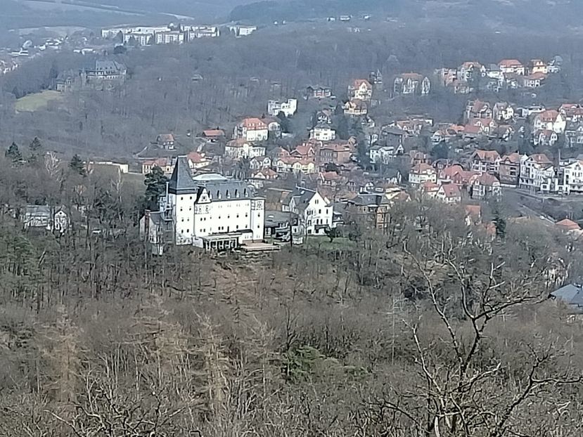 Img.20240301130656 - Eisenach - Wittenberg