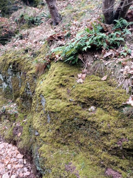 Img.2024.03.01 - Eisenach - Wittenberg