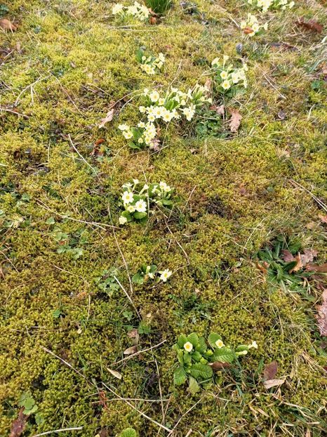 Img.2024.03.03 - Eisenach - Wittenberg