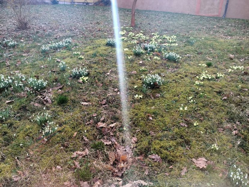 Img.2024.03.03 - Eisenach - Wittenberg