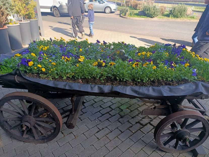 Img.2024.03.03 - Eisenach - Wittenberg