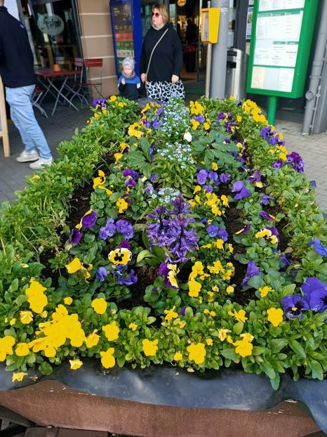 Img.2024.03.03 - Eisenach - Wittenberg