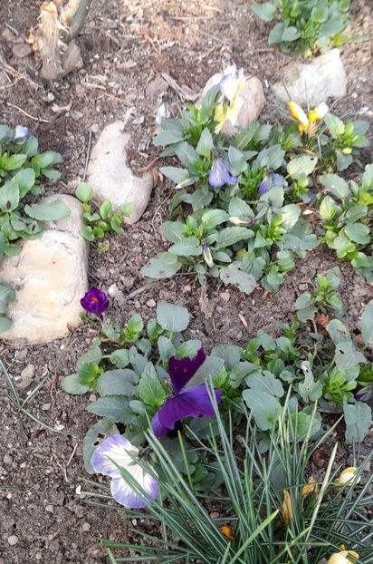  - 1 2024 Din nou cu natura impreuna !