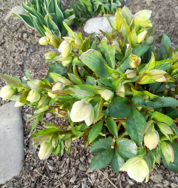  - 1 2024 Din nou cu natura impreuna !