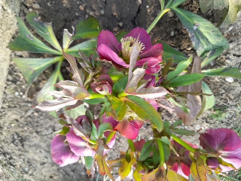  - 1 2024 Din nou cu natura impreuna !