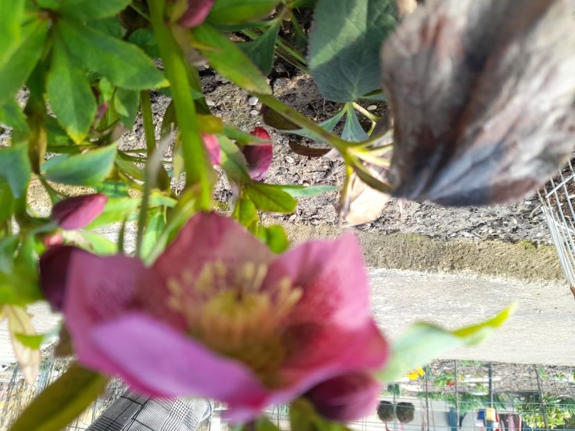  - 1 2024 Din nou cu natura impreuna !