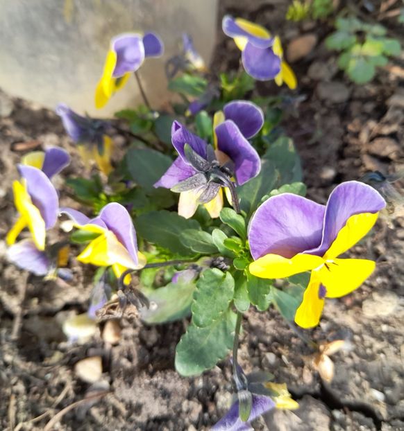  - 1 2024 Din nou cu natura impreuna !