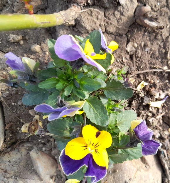  - 1 2024 Din nou cu natura impreuna !